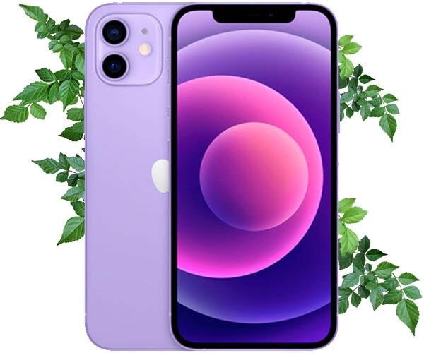 iPhone12 64G Purple - スマートフォン本体