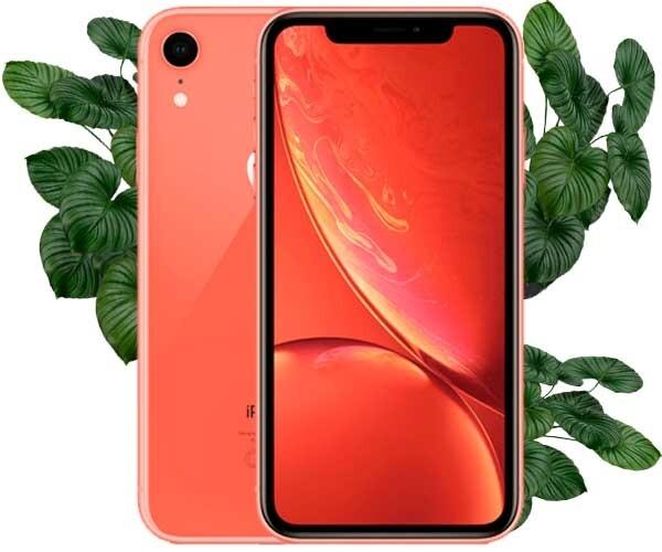 iPhone XR 64gb Coral - купить коралловый iPhone XR