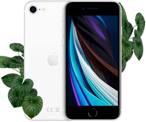 Apple iPhone SE 2020 256gb White (Білий) Відновлений еко на iCoola.ua
