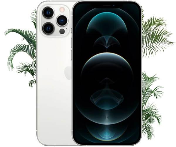 Айфон 12 Про Макс бу. Купити бу iPhone 12 Pro Max