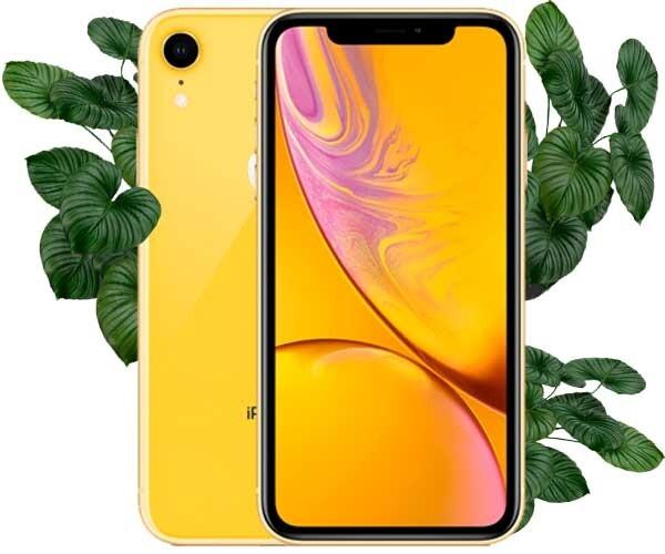 Apple iPhone XR 256gb Yellow (Желтый) Восстановленный эко на iCoola.ua