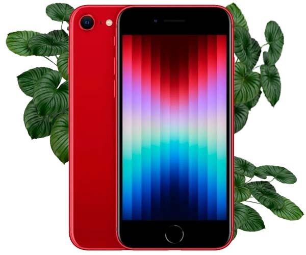 iPhone SE 3 бу. Купити бу iPhone SE 3