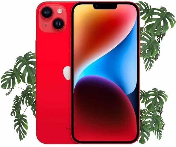 iphone 14 plus купить авито