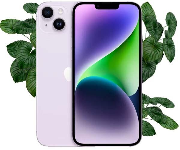 Айфон 14 Плюс бу. Купити бу iPhone 14 Plus