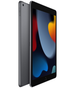 iPad 10.2 256GB, Wi-Fi (Space Gray) 2021 (MK2N3)  на iCoola.ua