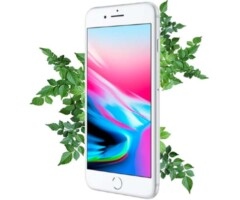 Apple iPhone 8 Plus 256gb Silver (Срібний) Відновлений еко на iCoola.ua