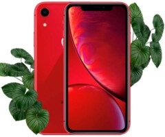 Apple iPhone XR 256gb Red (Красный) Восстановленный эко на iCoola.ua