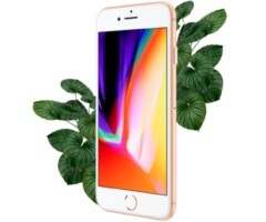 Apple iPhone 8 256gb Gold (Золотий) Відновлений еко на iCoola.ua