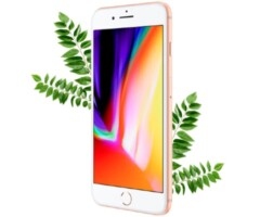 Apple iPhone 8 Plus 64gb Gold (Золотой) Восстановленный эко на iCoola.ua