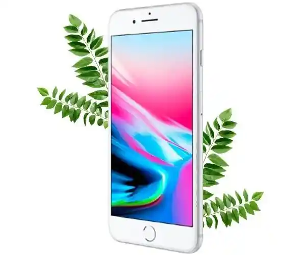 Apple iPhone 8 Plus 64gb Silver (Серебряный) Восстановленный эко на iCoola.ua