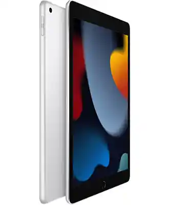 iPad 10.2 256GB, Wi-Fi + LTE (Silver) 2021 (MK6A3 / MK4H3)  на iCoola.ua