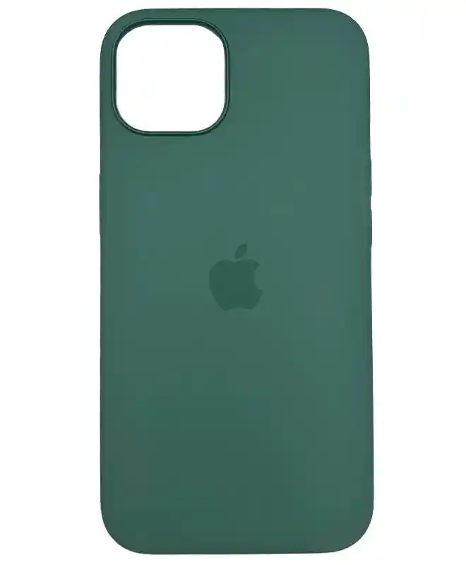 Чехол Apple Silicone Case with MagSafe (Eucalyptus) для iPhone 13 на iCoola.ua