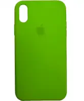Чехол на iPhone XR (Зеленая мята) | Silicone Case iPhone XR (Green Mint) на iCoola.ua