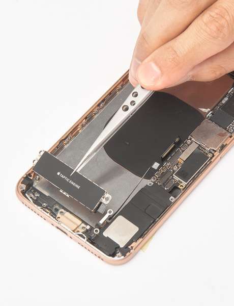 Заміна вібромотора (Taptic) в iPhone 8 Plus фото Заміна вібромотора (Taptic) в iPhone 8 Plus