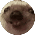 Даня