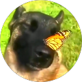 Юра