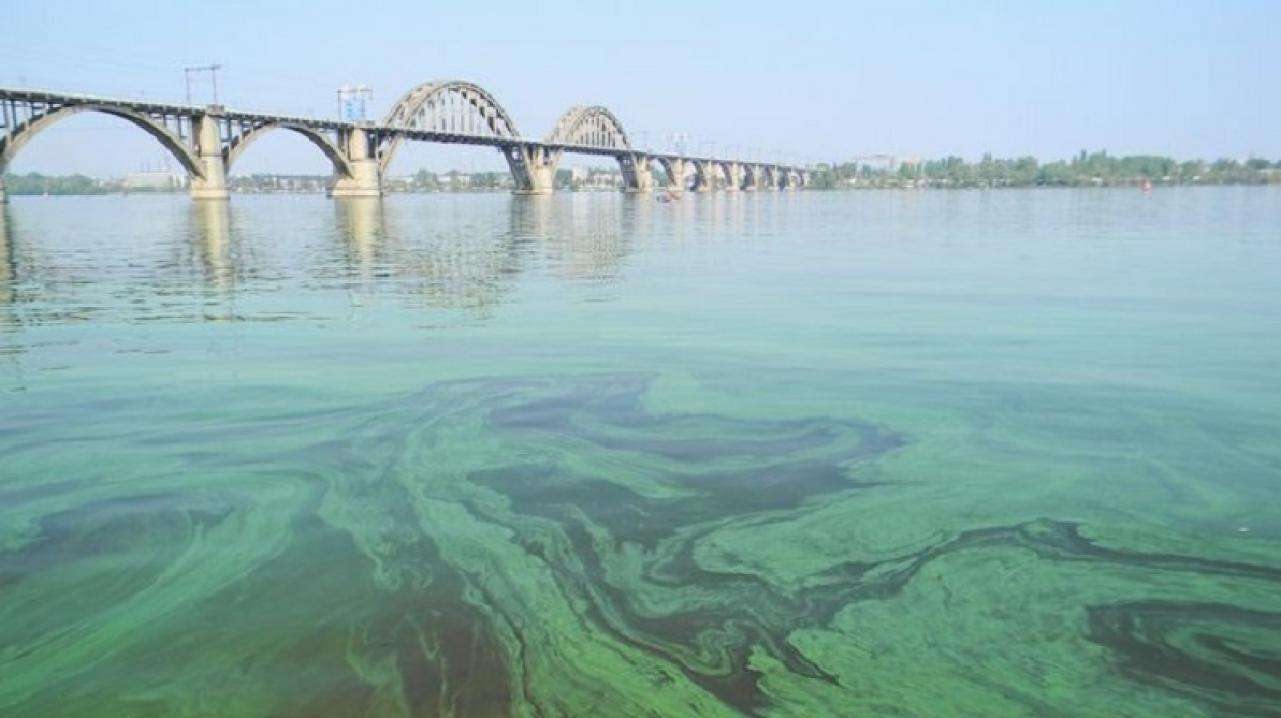  Річка Дніпро на межі екокатастрофи