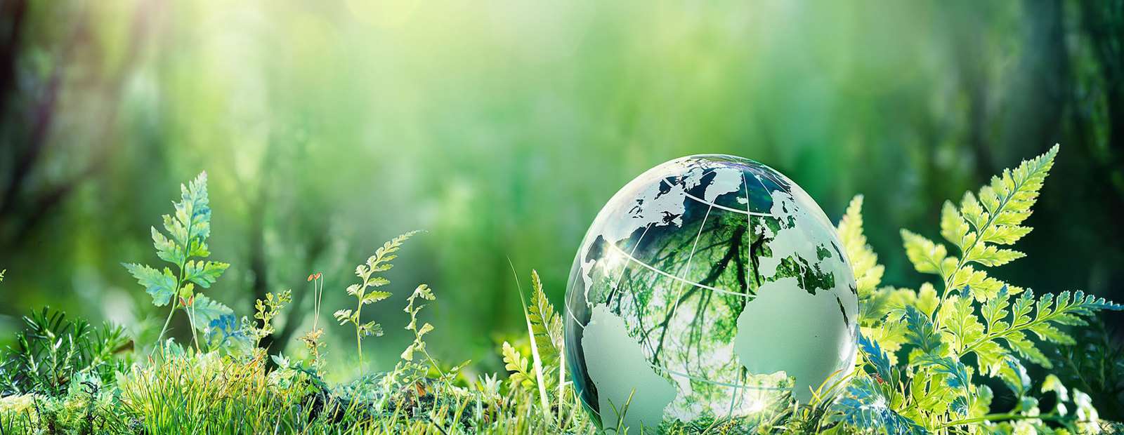 Как сохранить окружающую среду: правила жизни социально ответственного человека | GQ Россия