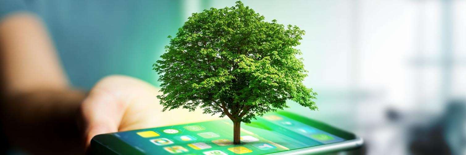 Устойчивое развитие смартфонов и окружающая среда - icoola.ua - фото