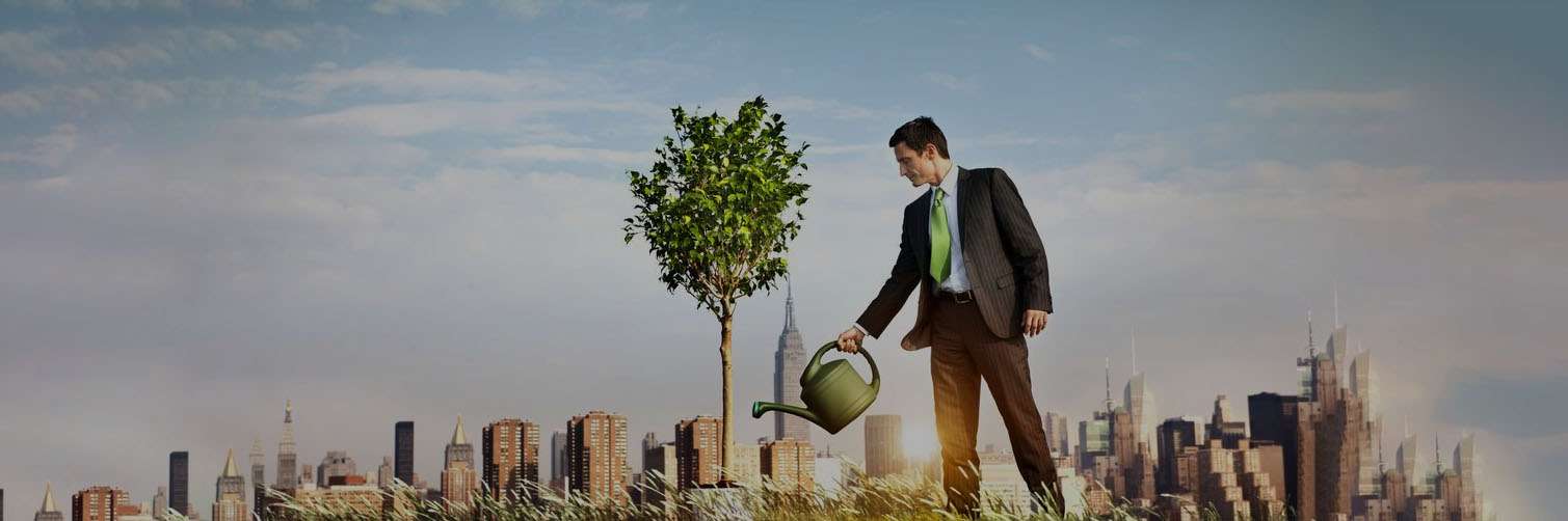Устойчивое развитие как основа экологичного бизнеса - icoola.ua - фото